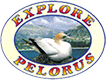 kayak rental marlborough sounds